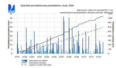 Fig. 2 : Quantités de précipitations journalières mesurées à Uccle (données jusqu'au 1 décembre 2024).